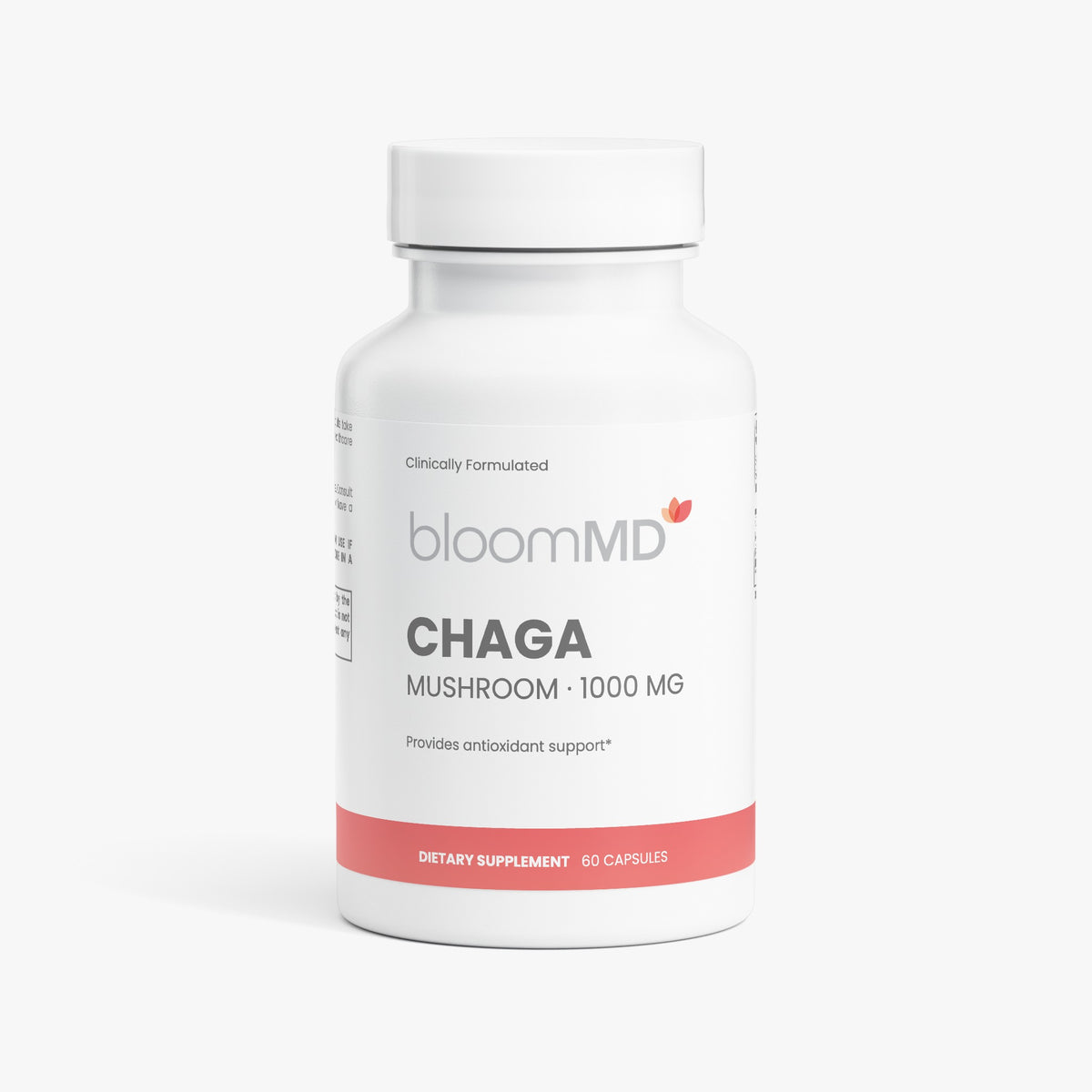 Chaga Mushroom