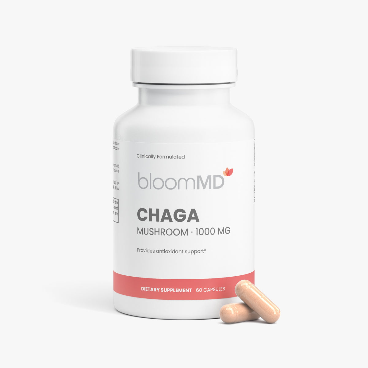 Chaga Mushroom