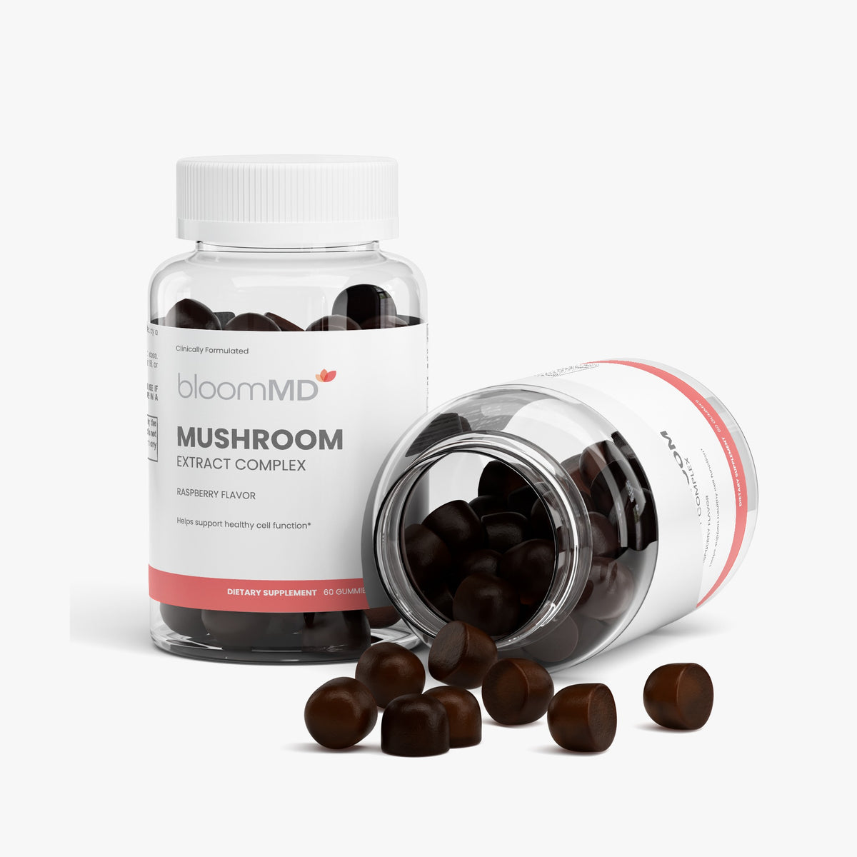 Mushroom Extract Complex