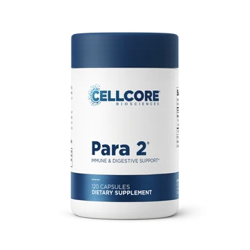 Para 2 †