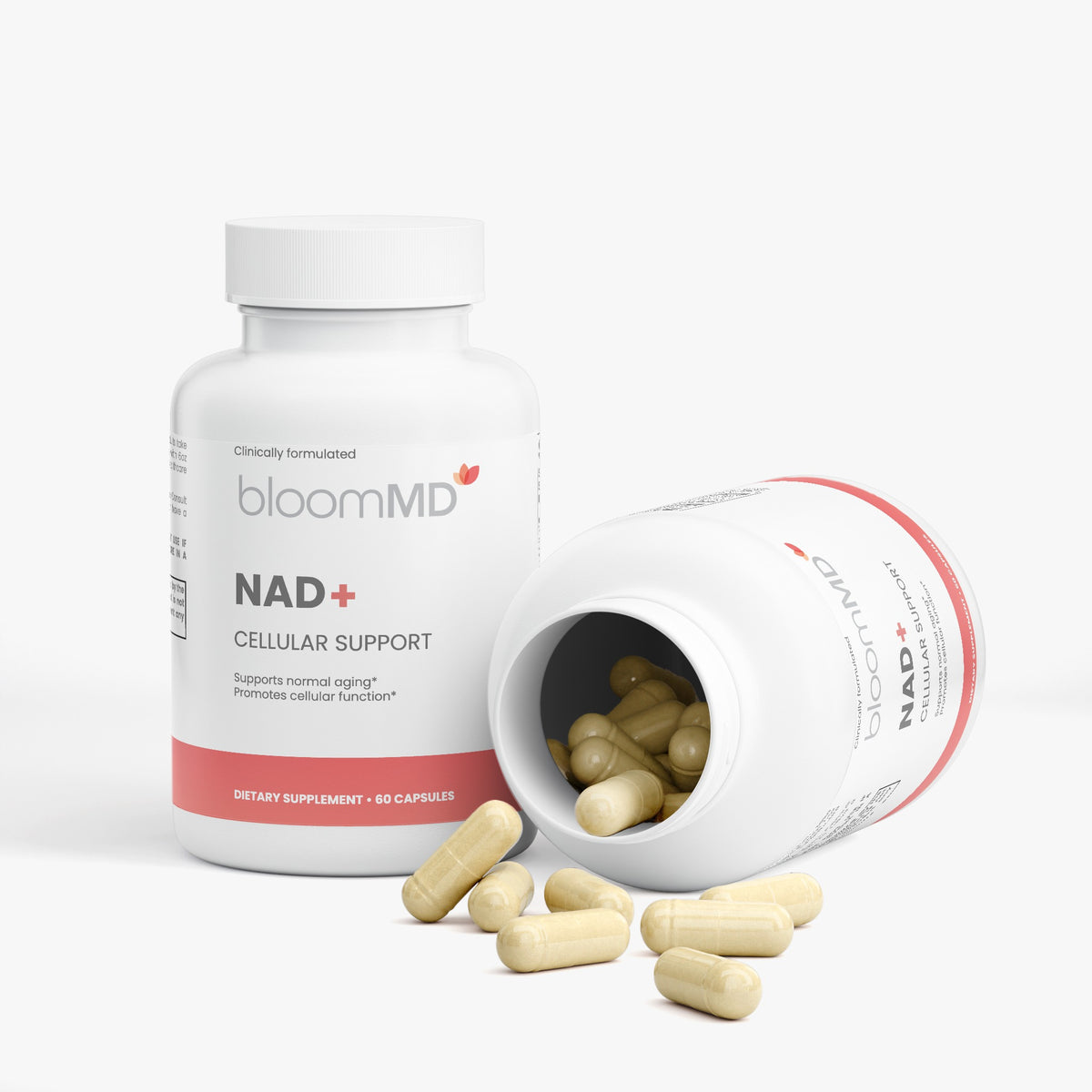 NAD+ Cellular Support