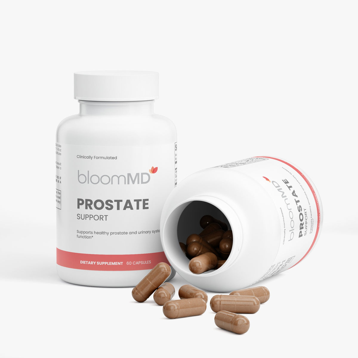 Prostate Support