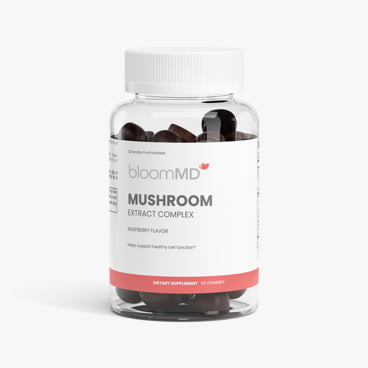 Mushroom Extract Complex