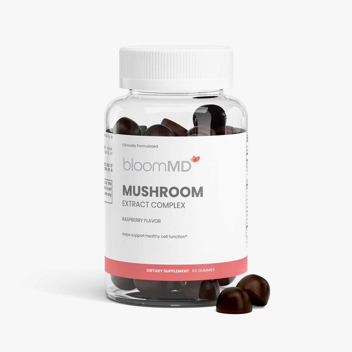 Mushroom Extract Complex
