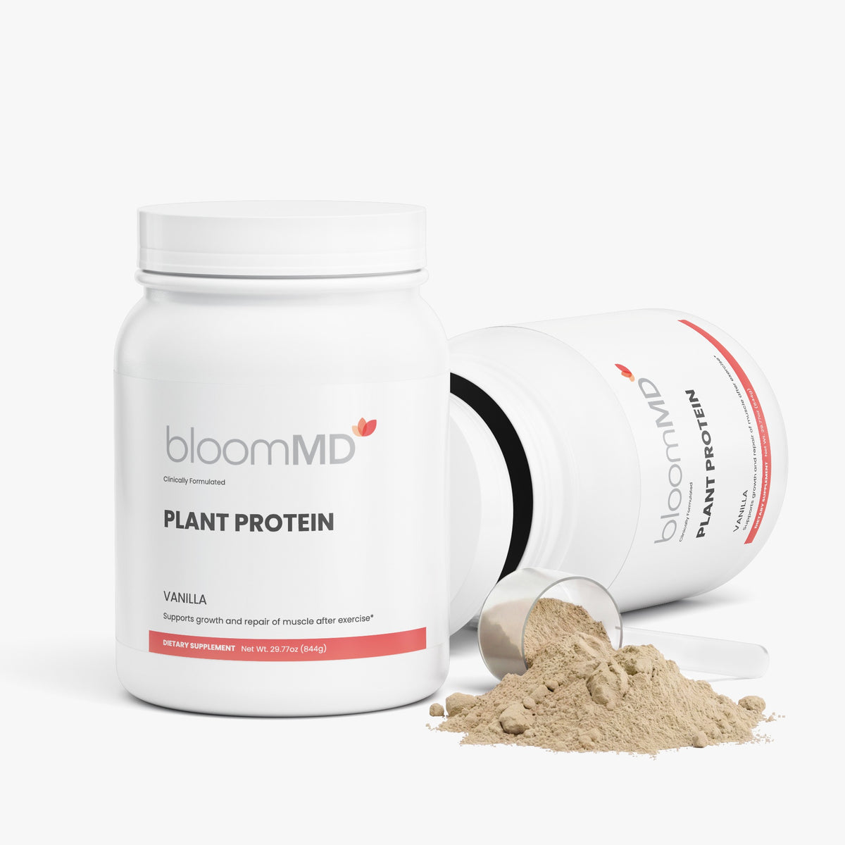Plant Protein (Vanilla)