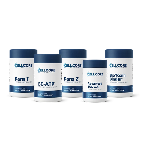 Phase 2: Gut & Immune Support