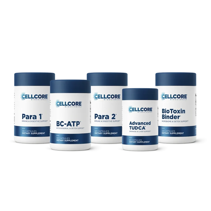 Phase 2: Gut & Immune Support