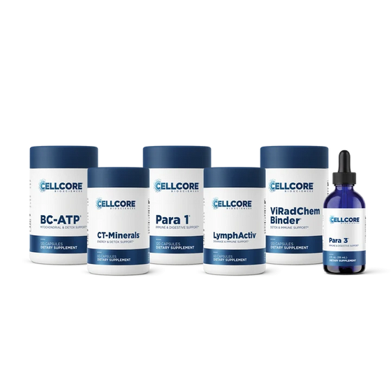 Phase 3: Whole Body Immune Support