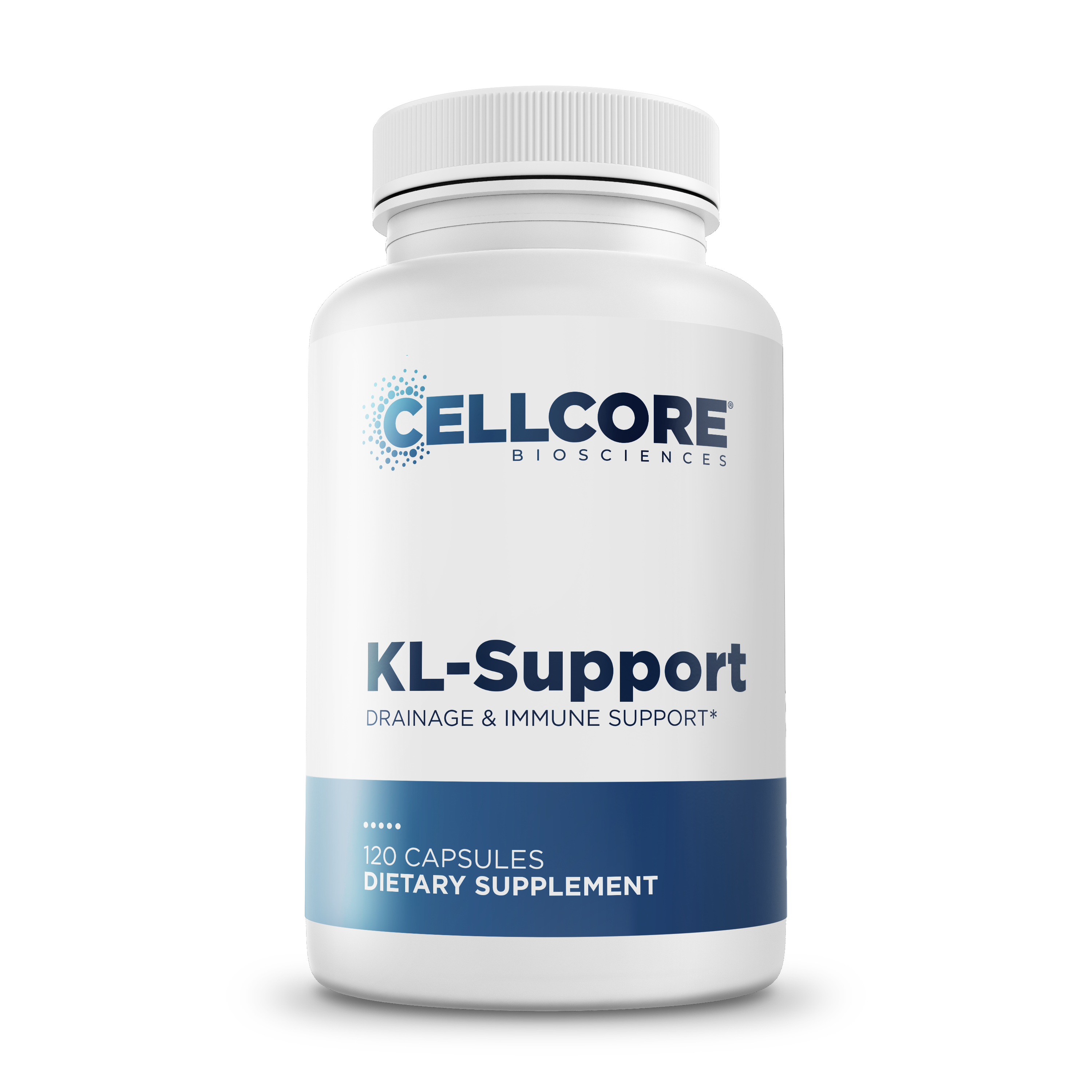 KL Support †