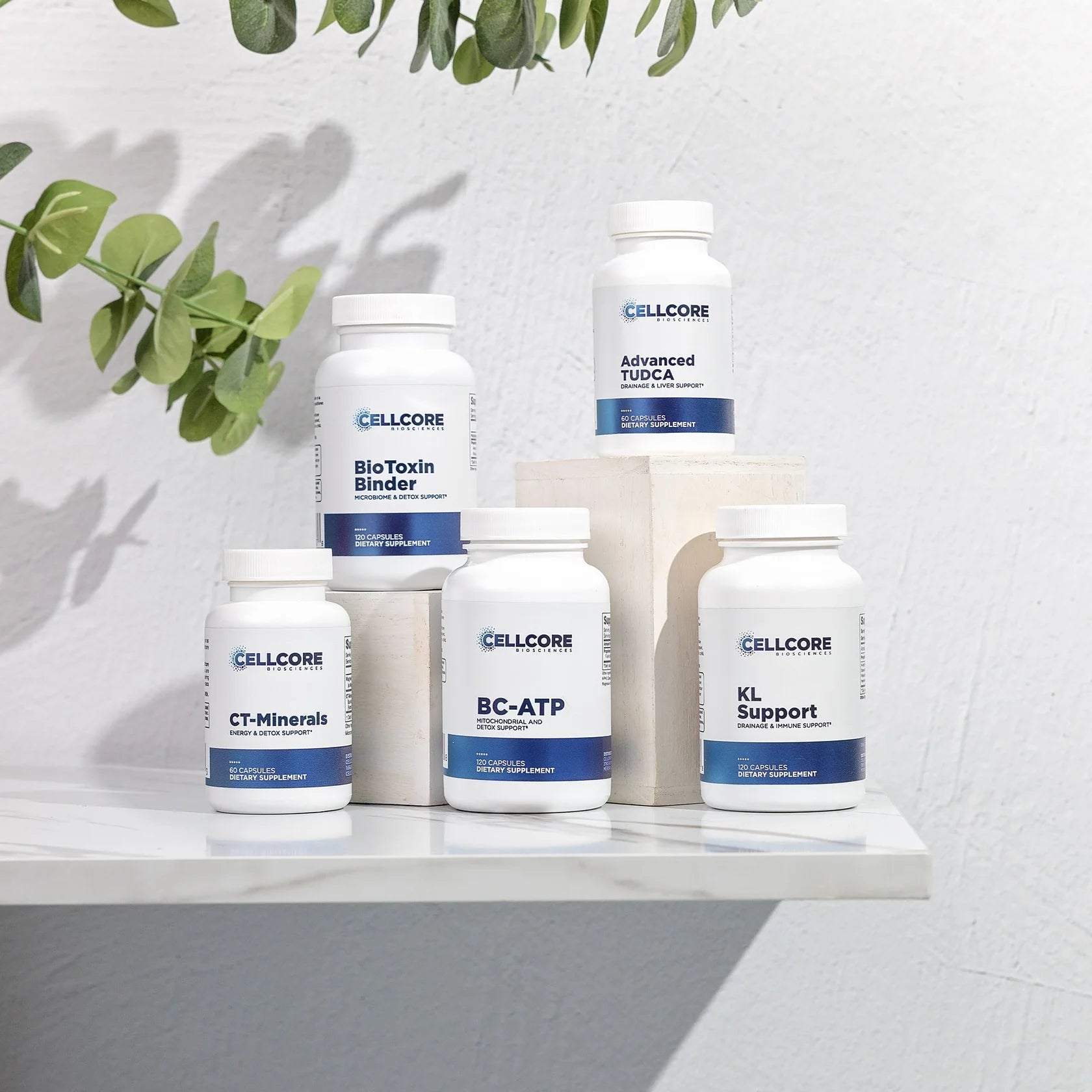 MYC Support Kit