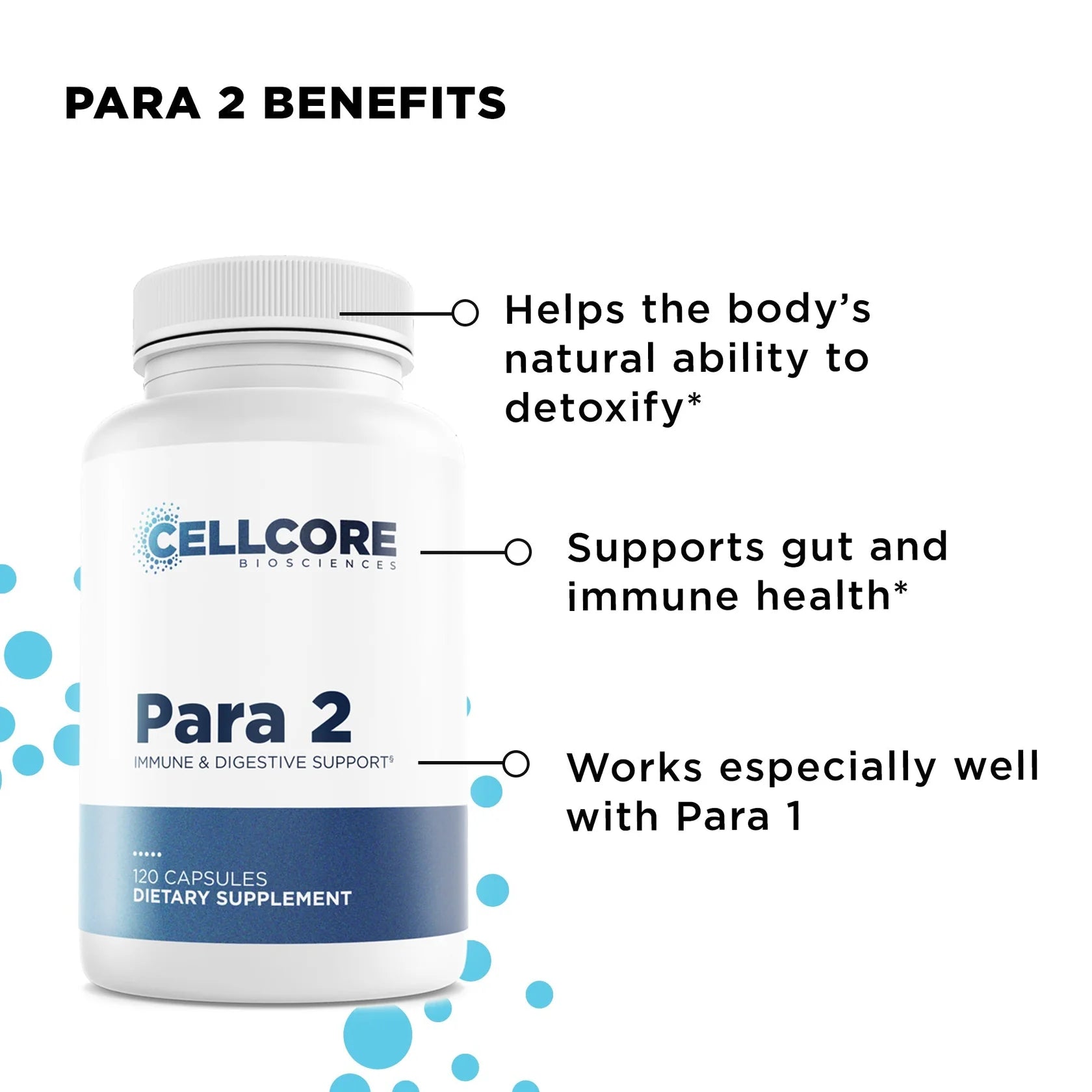 Step 2: Gut & Immune Support