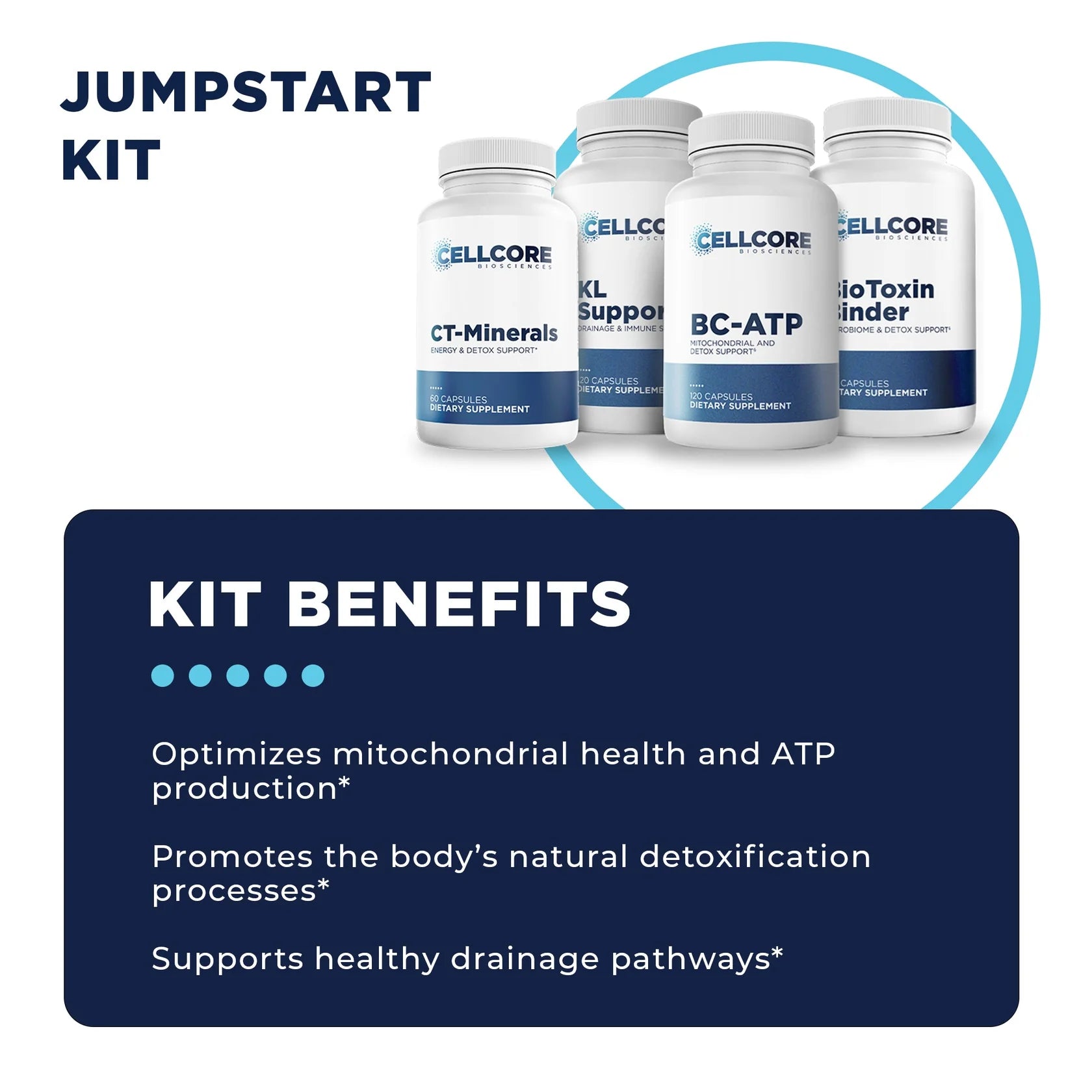 Stomach Support Protocol