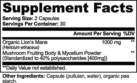 Lion’s Mane Focus